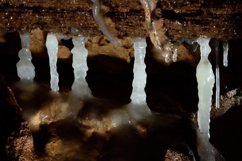 La Combe aux Prêtres - Réseau nord : alignement de petites colonnes de calcite blanche(SP-19-1974 )